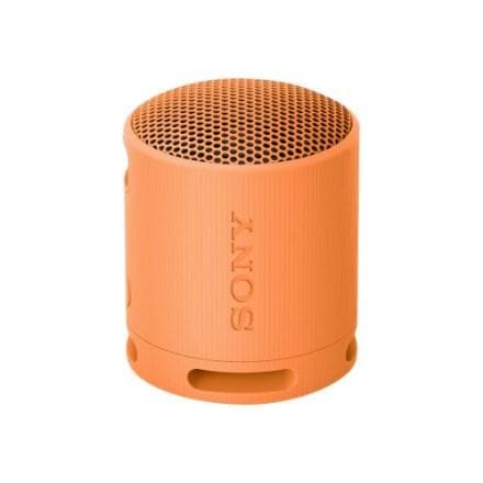 Sony SRS-XB100 Bluetooth-højtaler – vandtæt, bærbar – lysegrå