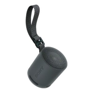 Sony SRS-XB100 Højttaler Sort