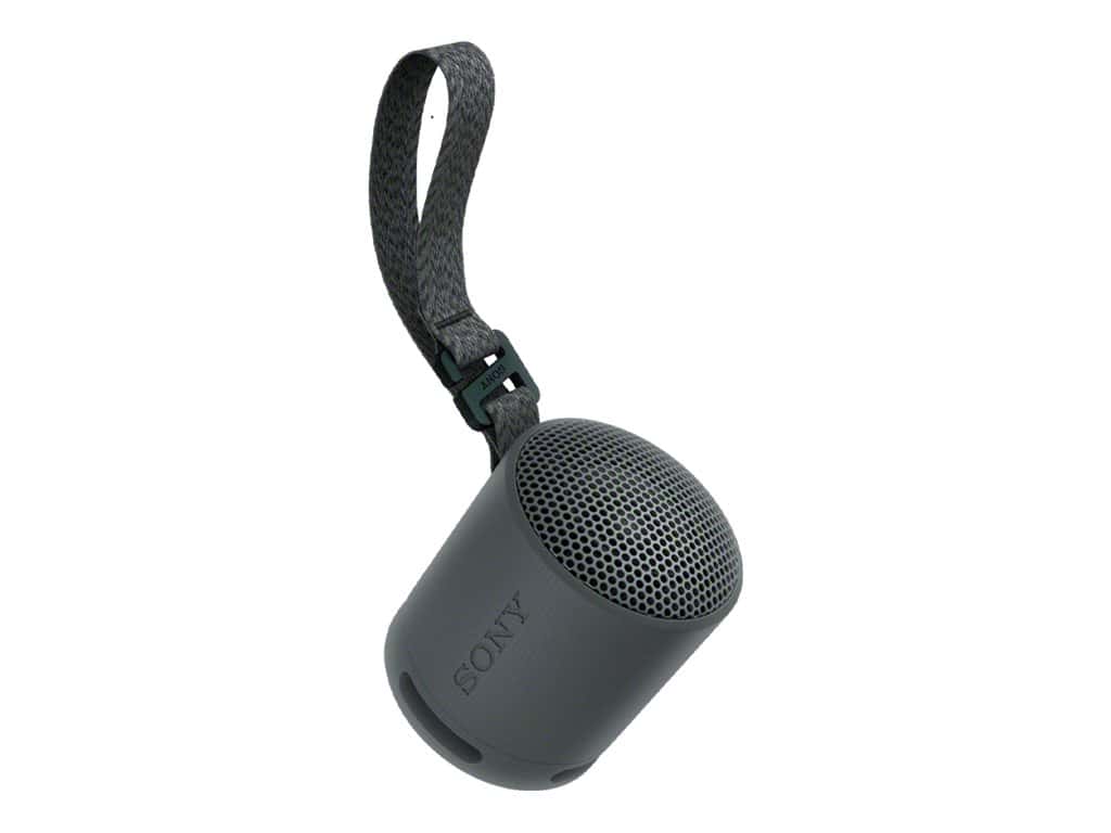 Sony SRS-XB100 Højttaler Sort