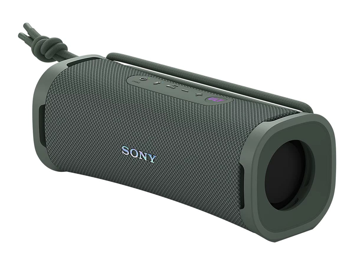 Sony ULT FIELD 1 Højttaler Grå